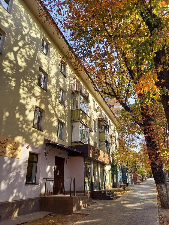 "В Центре Города" Квартира - "Downtown" Apartment Alma-Ata Buitenkant foto